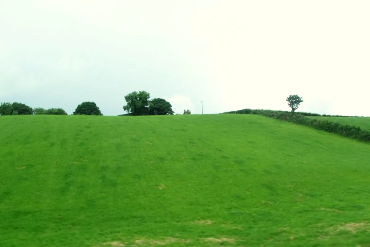 A green drumlin slope at Lisnafeddaly