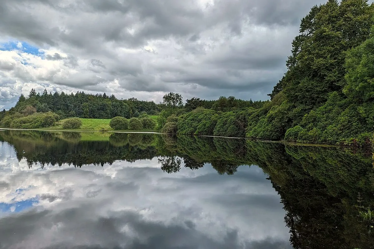 Castle Lake reflecting the sky in Rossmore Forest Park